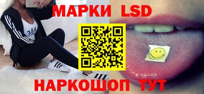 крисы Новокубанск