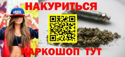 крисы Новокубанск