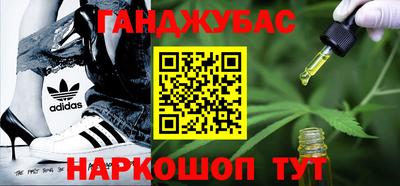 ECSTASY Новозыбков