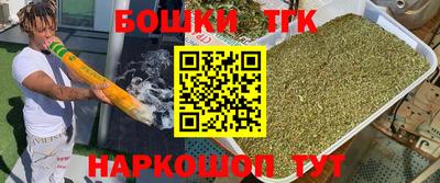 ECSTASY Новозыбков