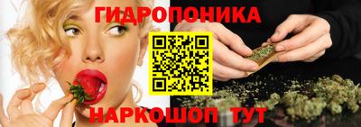 крисы Новокубанск