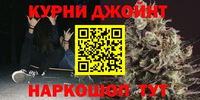 крисы Новокубанск