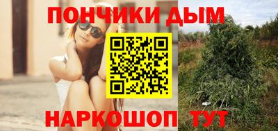 крисы Новокубанск