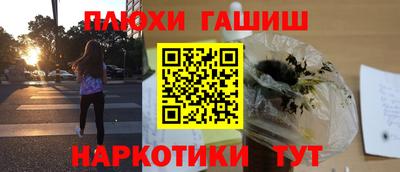 крисы Новокубанск