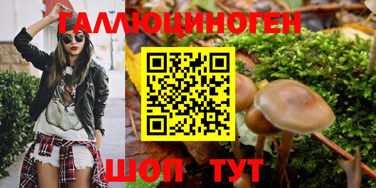 Тимашёвск  Галлюциногенные грибы Magic Shrooms  Вход с VPN 